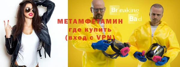 индика Богородск