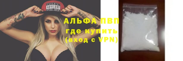 индика Богородск