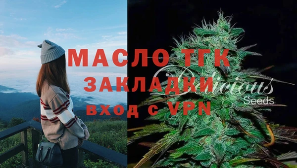 индика Богородск