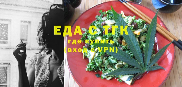 индика Богородск