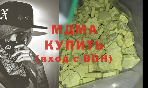 индика Богородск