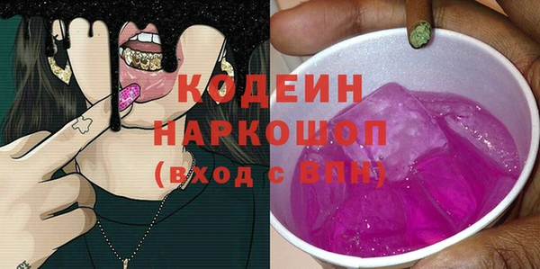 индика Богородск