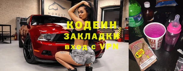 индика Богородск